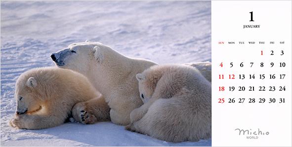 2026年版 星野道夫卓上カレンダー | 星野道夫オンラインショップ