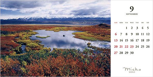 2026年版 星野道夫卓上カレンダー | 星野道夫オンラインショップ