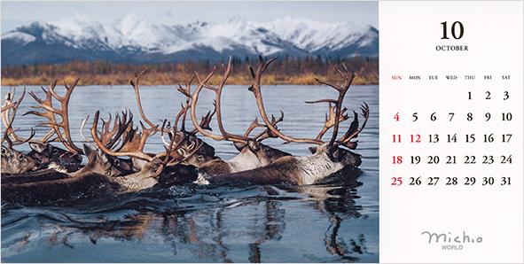 2026年版 星野道夫卓上カレンダー | 星野道夫オンラインショップ